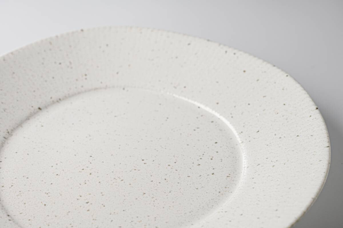 Miyama "cadre" round dinner plate, white variegated glaze