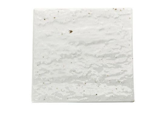 Bloom "Hibiki" Sushi Plate