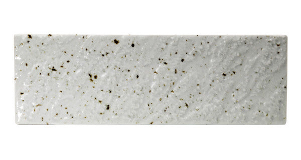 Bloom "Hibiki" Sushi Plate