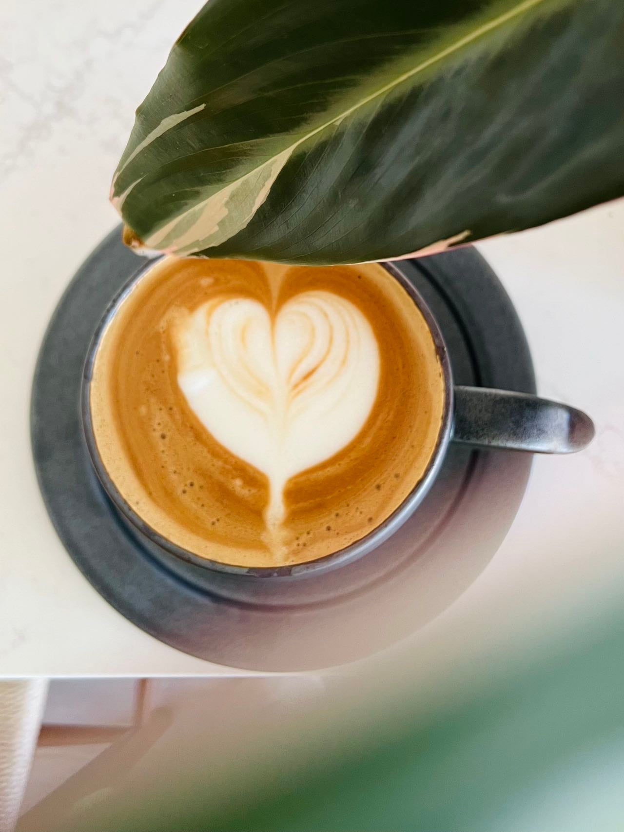 Aritaware B&W Sabi Series cafe au lait Mug and Plate