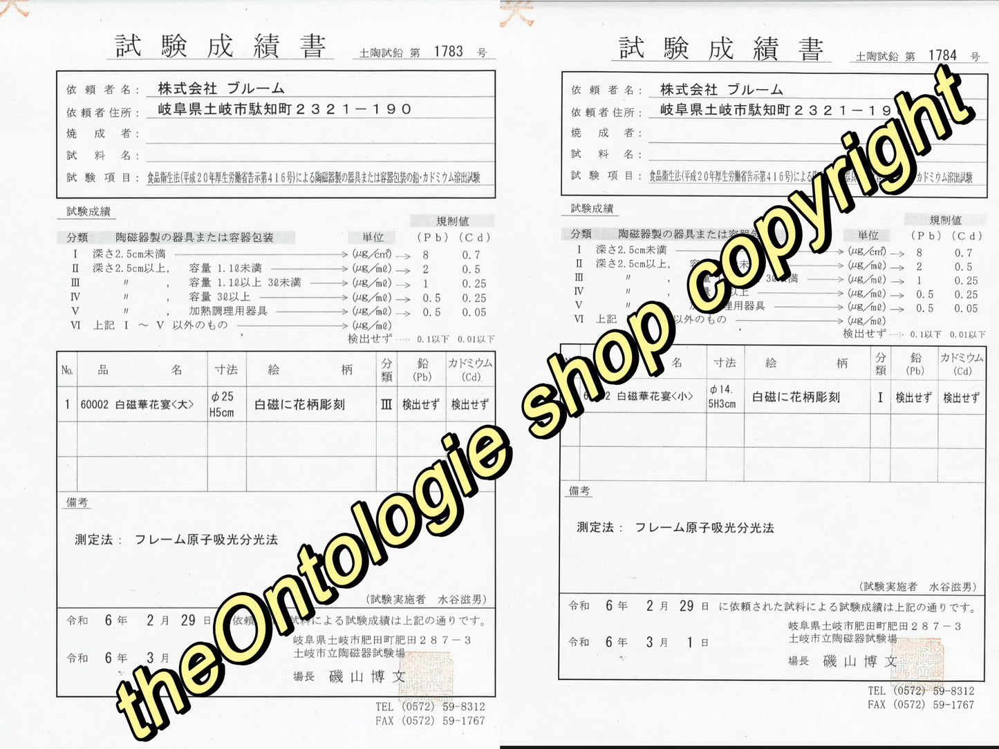 Bloom Flower Embossed White Porcelain Deep Plate, Minoware