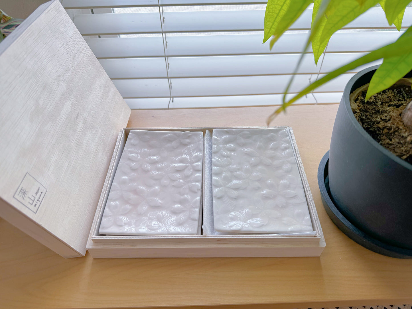 Minoware Cherry Blossoms Sakura Rectangular Plates - miyama深山食器